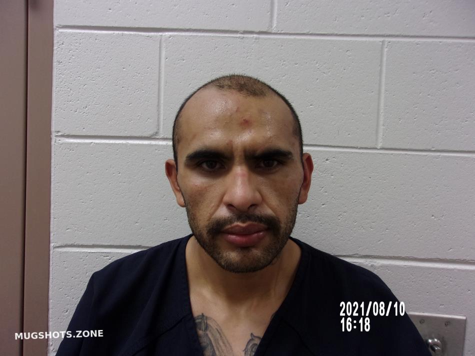 Gonzales Jose Mario Socorro County Mugshots Zone