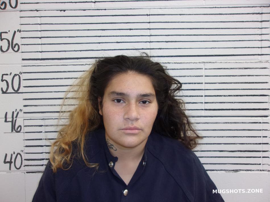 PARGAS DELEON LEONDRA 01 31 2023 Socorro County Mugshots Zone