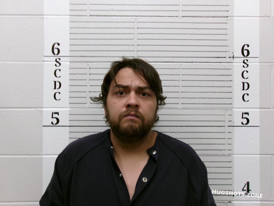 Salas Reyes Jr Socorro County Mugshots Zone