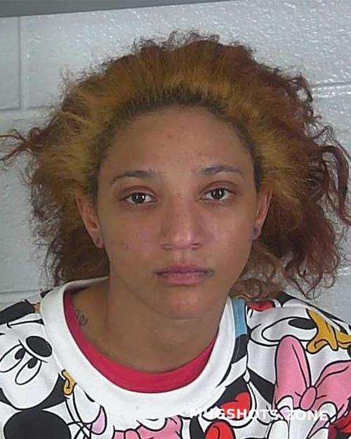 CIERA NICOLE LONG 02 05 2021 Spartanburg County Mugshots Zone