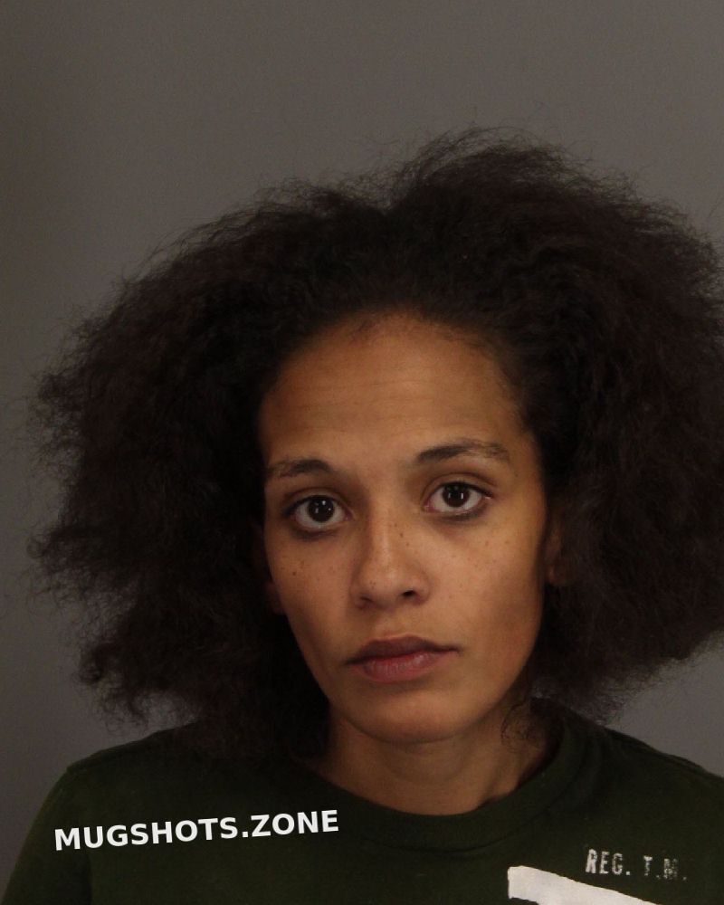 Amanda Dianne Wilson Spartanburg County Mugshots Zone