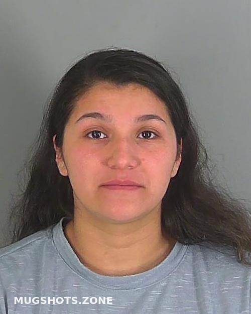 Isela Mendoza Spartanburg County Mugshots Zone