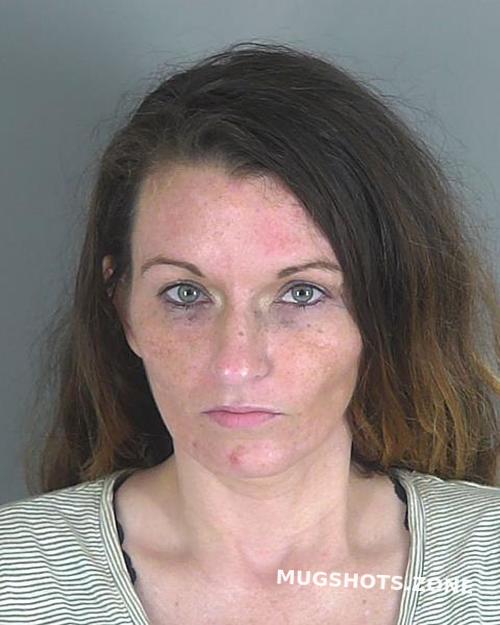 Carrie Elizabeth Harrison Spartanburg County Mugshots Zone