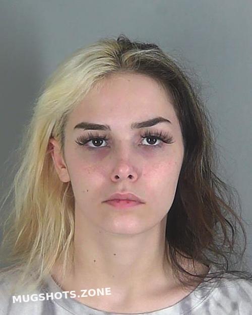 Kirsten Emma Todd Spartanburg County Mugshots Zone