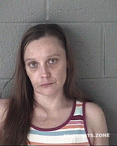 Joyner Elizabeth Ashley Stanly County Mugshots Zone