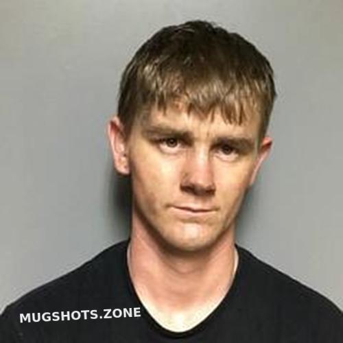 Allen Storey St Clair County Mugshots Zone