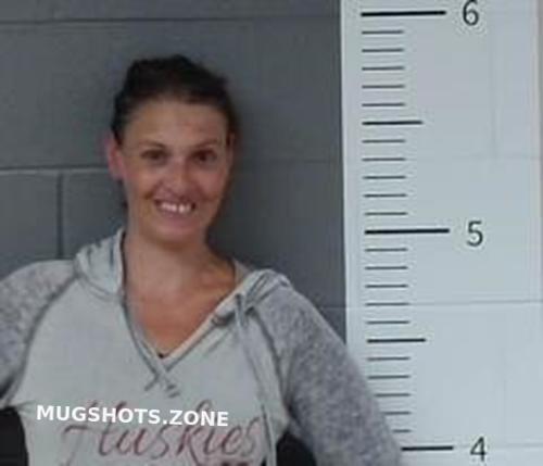 Jennifer Howland St Clair County Mugshots Zone