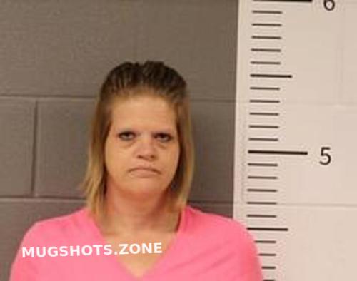 April Wise St Clair County Mugshots Zone