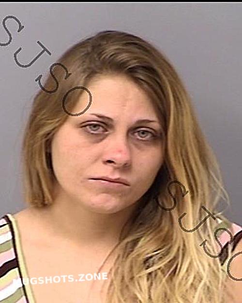 Chavis Tammy Renee St Johns County Mugshots Zone