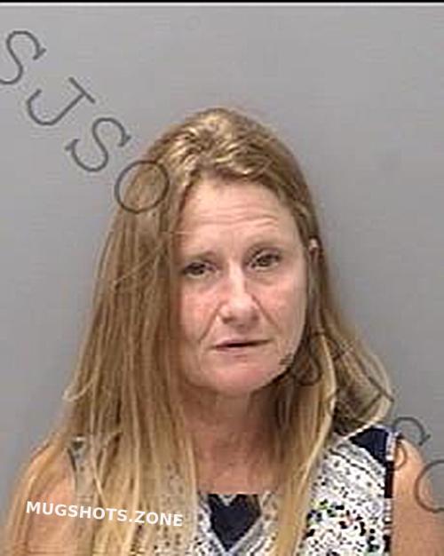 Salsburg Lynda Gail Abney St Johns County Mugshots Zone