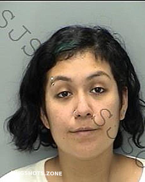 Donoso Delia Gabriela St Johns County Mugshots Zone