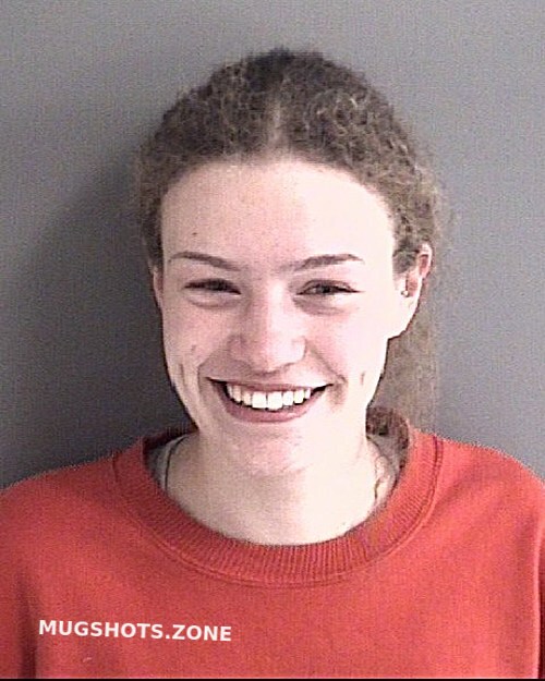 GAY LINDSEY LEE 10 19 2022 Story County Mugshots Zone