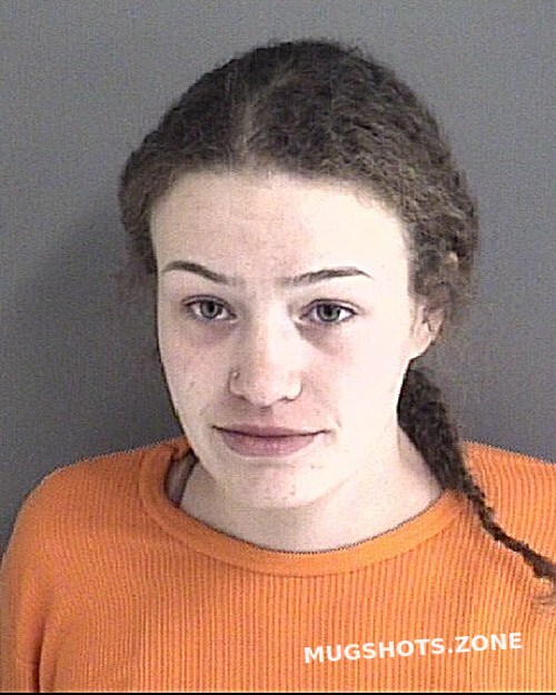 Gay Lindsey Lee Story County Mugshots Zone