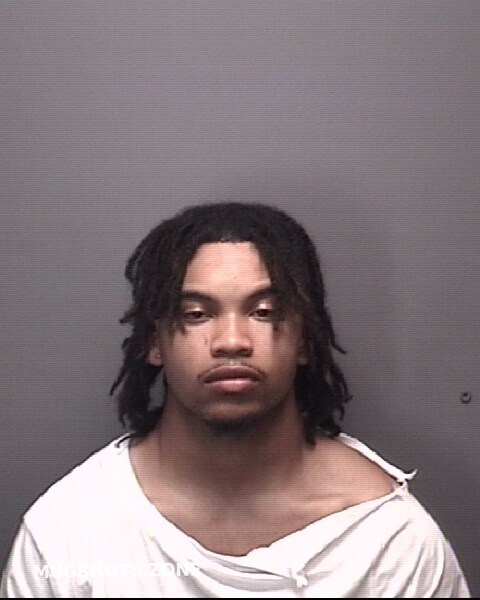 Wilson Jaheim Amarea Suffolk Mugshots Zone