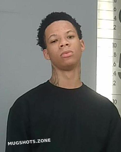 Lillie Isaiah Jamal Summit County Mugshots Zone