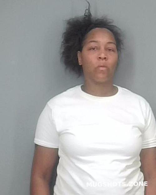 Johnson Teonna Laree Summit County Mugshots Zone