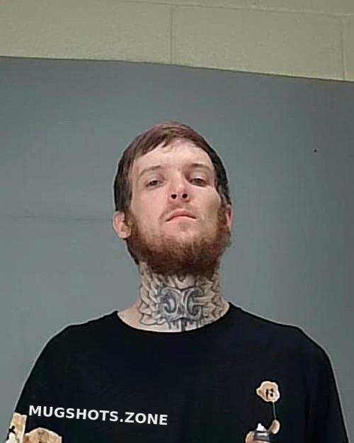 Brown Dustin Levi Summit County Mugshots Zone