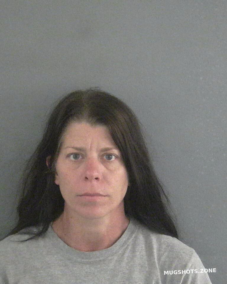 Saenz Elizabeth Anne Sumter County Mugshots Zone