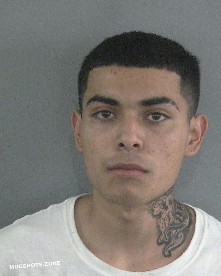 Duran Meza Ramon Sumter County Mugshots Zone