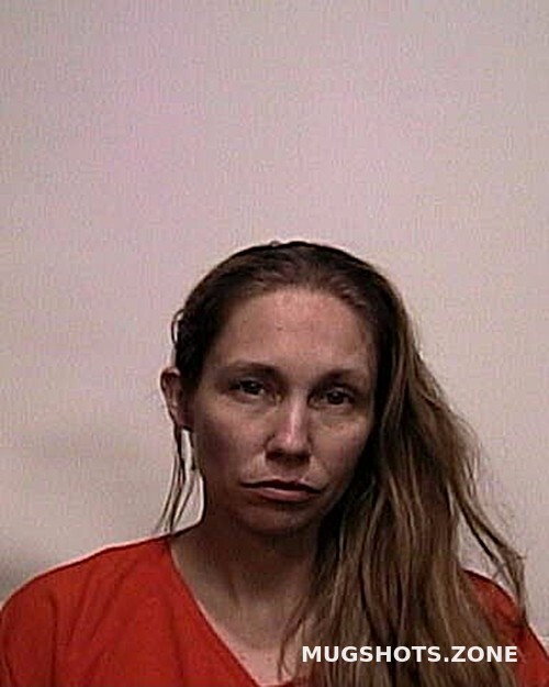 Cave Allison Renee Suwannee County Mugshots Zone