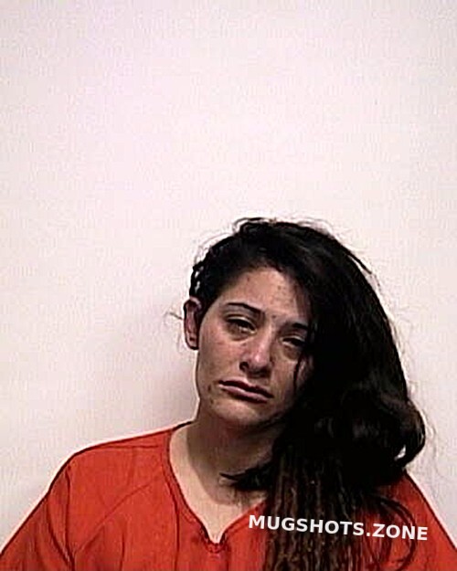 Jenkins Jessica Delise Suwannee County Mugshots Zone