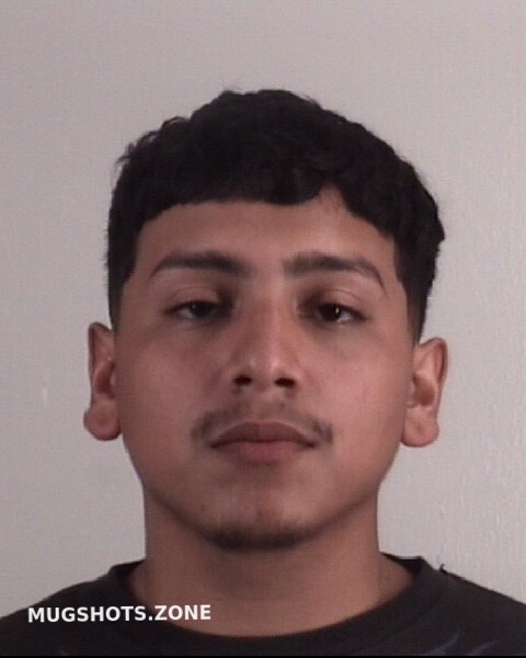 GUERRERO LUIS GUSTAVO 08 19 2022 Tarrant County Mugshots Zone