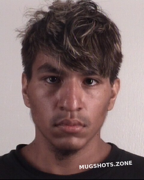 MARTINEZ LUIS 09 03 2022 Tarrant County Mugshots Zone