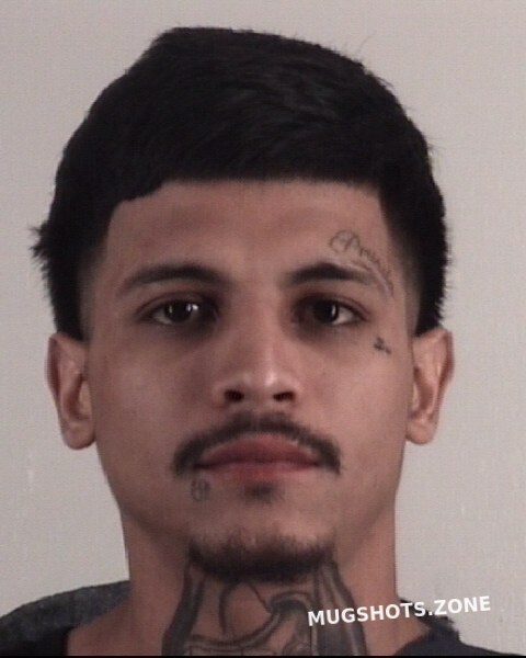 Venegas Manuel Tarrant County Mugshots Zone