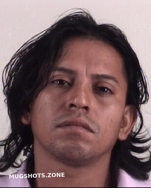 Portillolopez Arlen Moises Tarrant County Mugshots Zone