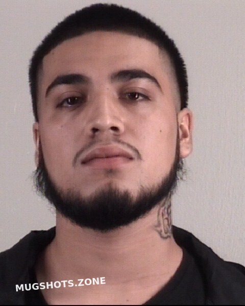 Perez Camilo Tarrant County Mugshots Zone