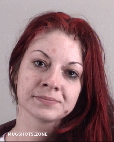 Story Brittany Michelle Tarrant County Mugshots Zone