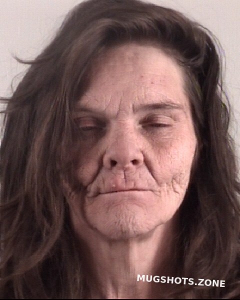 Warren Lisa Rena Tarrant County Mugshots Zone