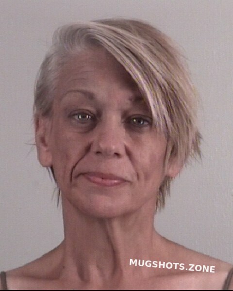 WESTER GRETCHEN ELAINE 04 15 2023 Tarrant County Mugshots Zone