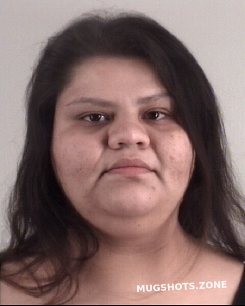 Villanueva Felipa Isabel Tarrant County Mugshots Zone