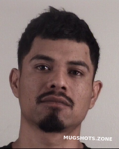 Avila Saul Salazar Tarrant County Mugshots Zone