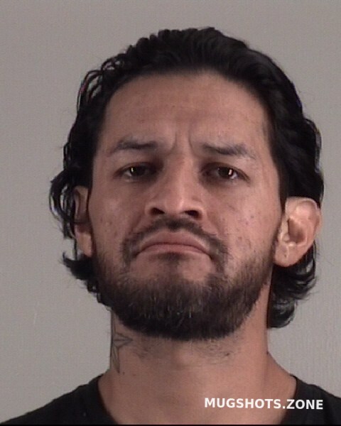 Palomino Moises Tarrant County Mugshots Zone