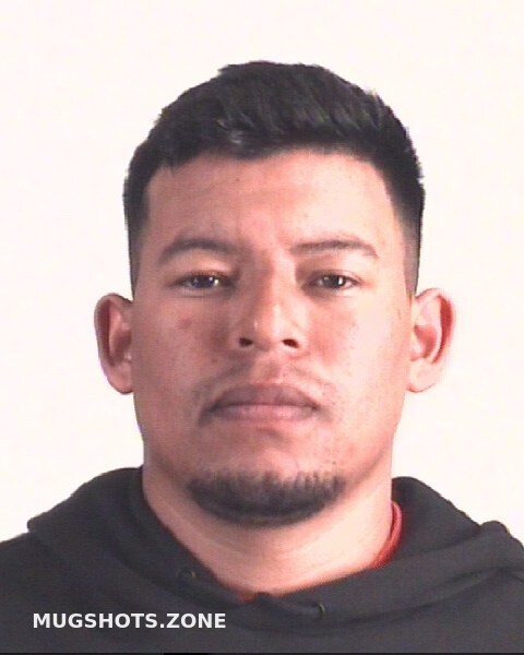 Navaszelaya Moises Tarrant County Mugshots Zone