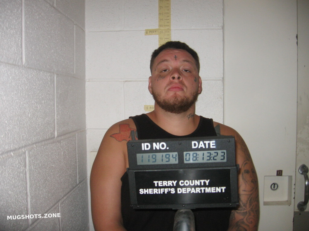 Romero Devin Terry County Mugshots Zone