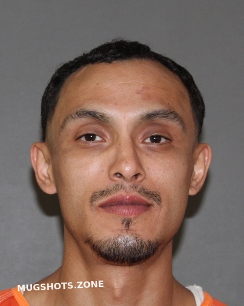 Almazan Miguel Angel Titus County Mugshots Zone