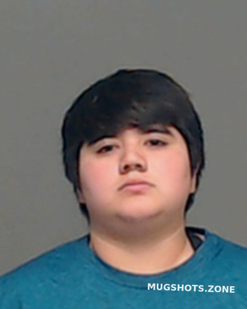 Celeste Garza Tom Green County Mugshots Zone