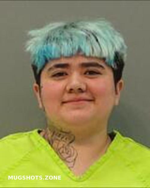 Celeste Garza Tom Green County Mugshots Zone