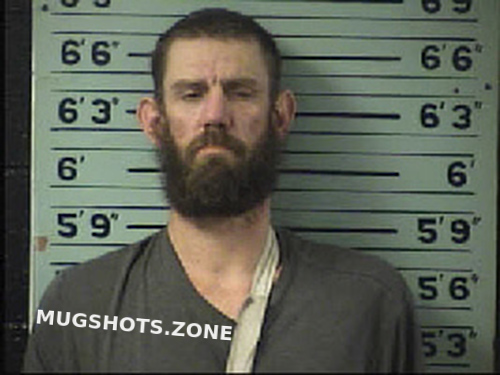 Owen Jonathan Ryan Transylvania County Mugshots Zone