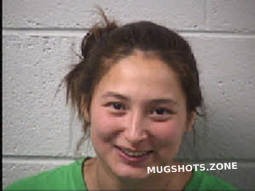 SMITH ISABELLA ANJELICA 10 02 2023 Transylvania County Mugshots Zone