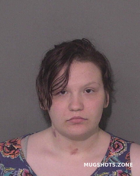 Ricci Lorena Monita Union County Mugshots Zone