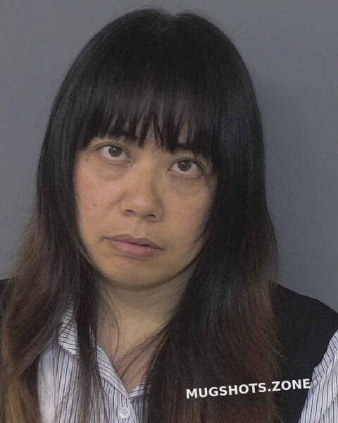 ZHENG HONG 03 28 2024 Union County Mugshots Zone