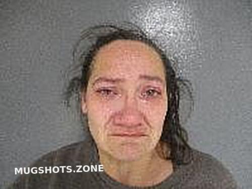 GUERRERO TAMMY LYNNE 02 20 2022 Van Buren County Mugshots Zone