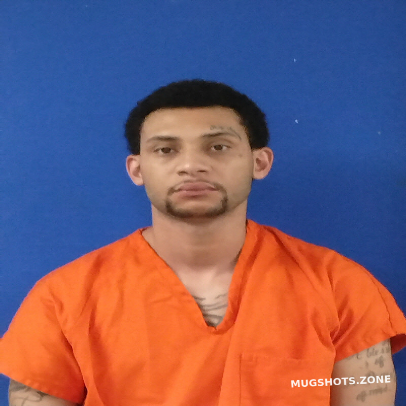 SEARS MICHAEL JAUMON 11 04 2023 Van Zandt County Mugshots Zone