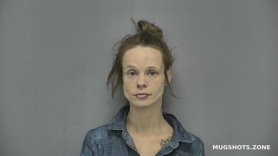 Norton Nicole L Vigo County Mugshots Zone