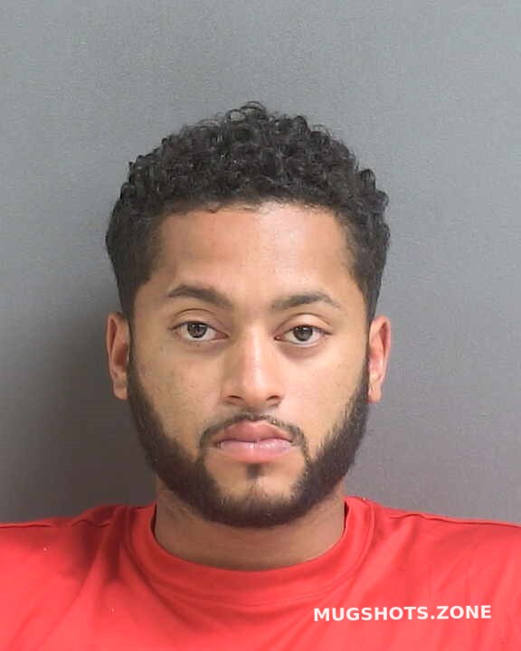 Hernandez David Volusia County Mugshots Zone