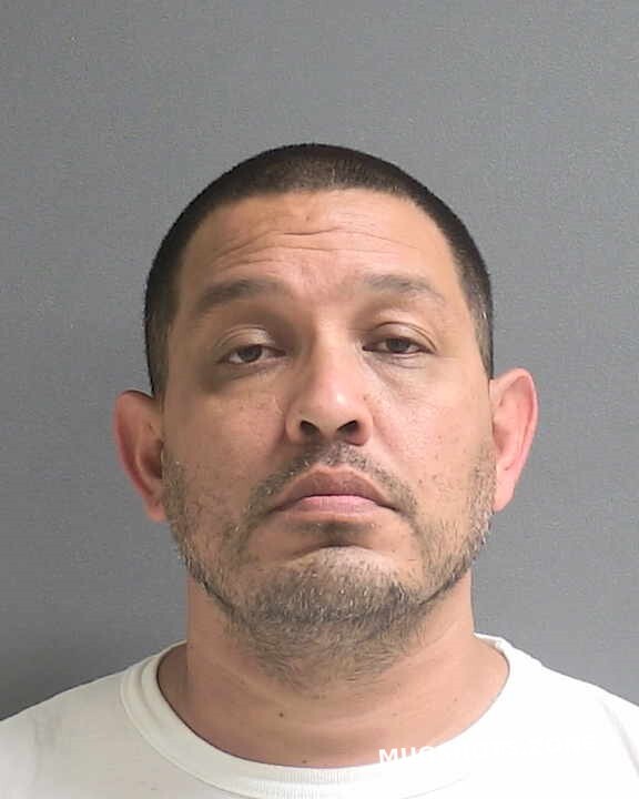 Castaneda Tomas Volusia County Mugshots Zone